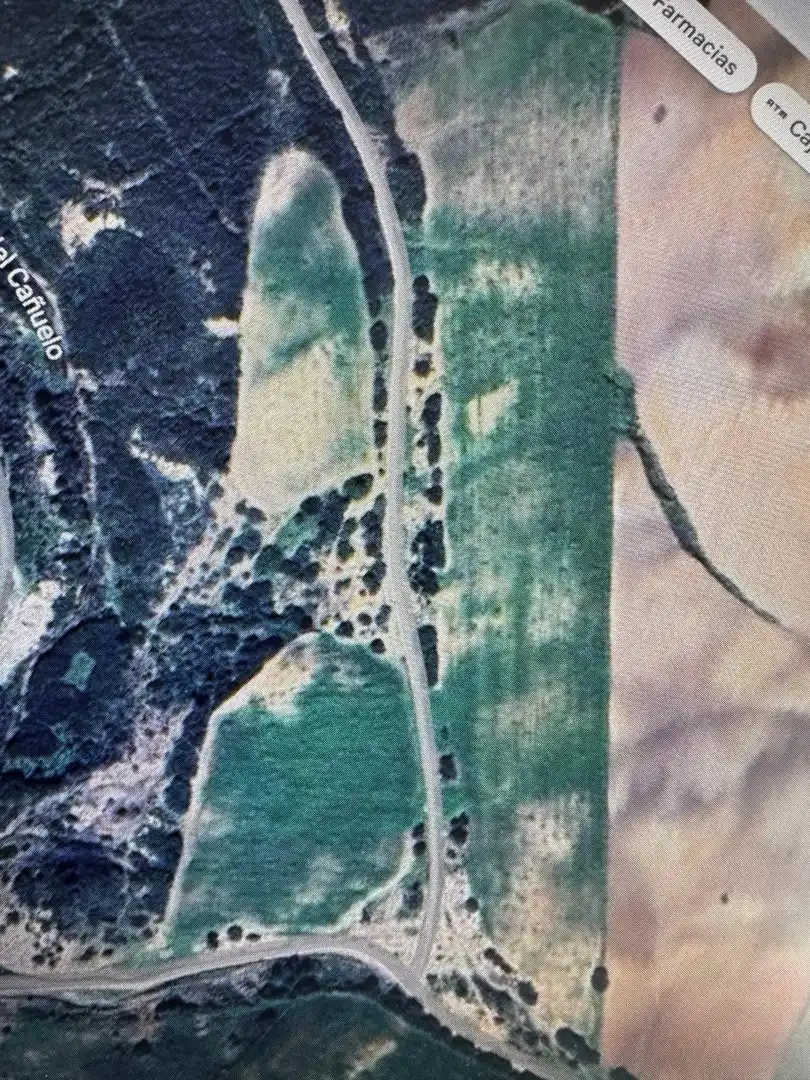 Terreny rústic en venda a Medina Sidonia, imagen 15