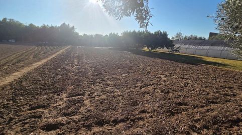 Foto 5 von Residential zum Verkauf in Mejana, Parque del Queiles, Tudela