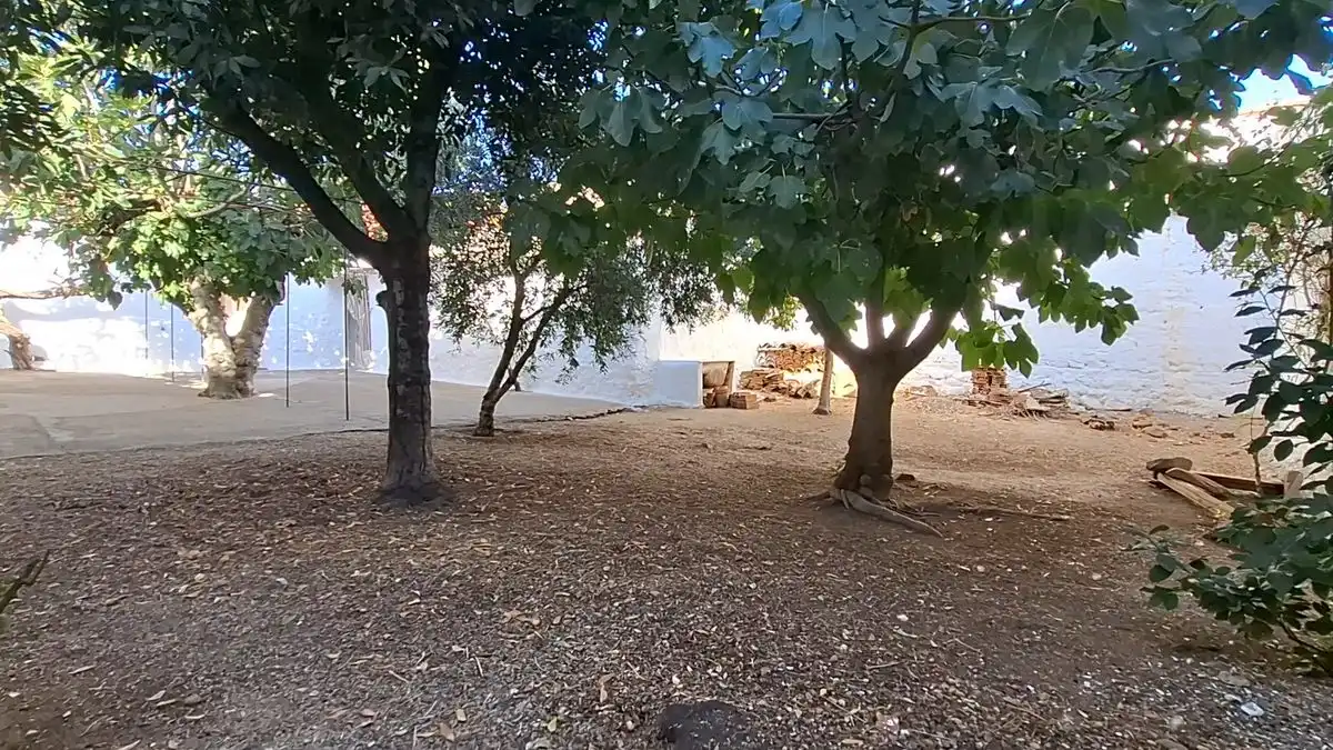 Haus mit Garten zum Verkauf in Avenida Juan Carlos I, imagen 23