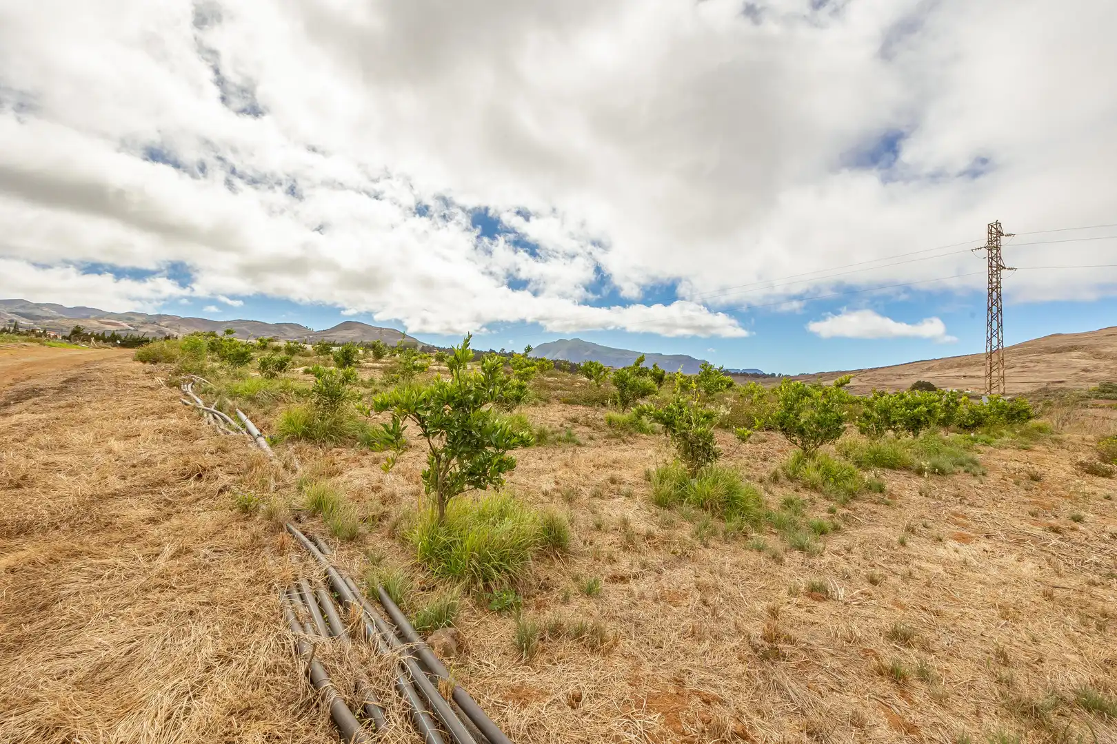 Residencial en venta en Lugar Lomo del Poleo, Saucillo - Fagajesto - Juncalillo