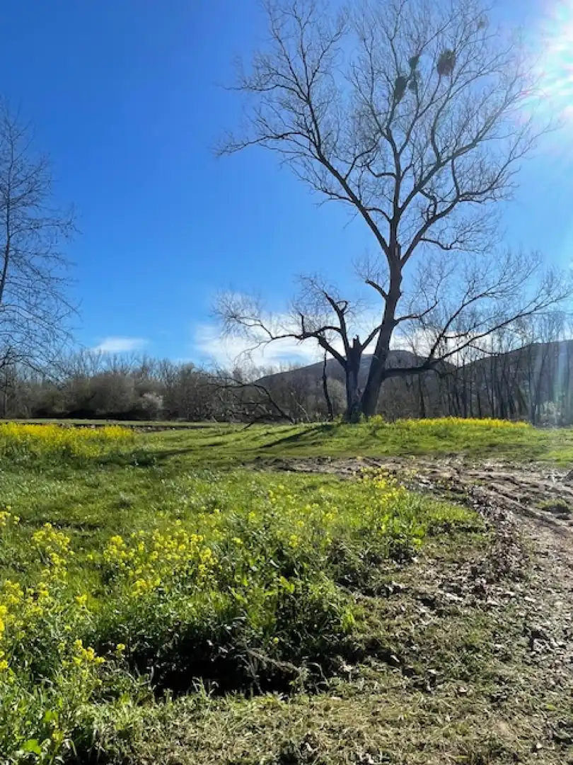 Terreno en venta en Ontoria - BO ONTORIA, 103, Cabezón de la Sal