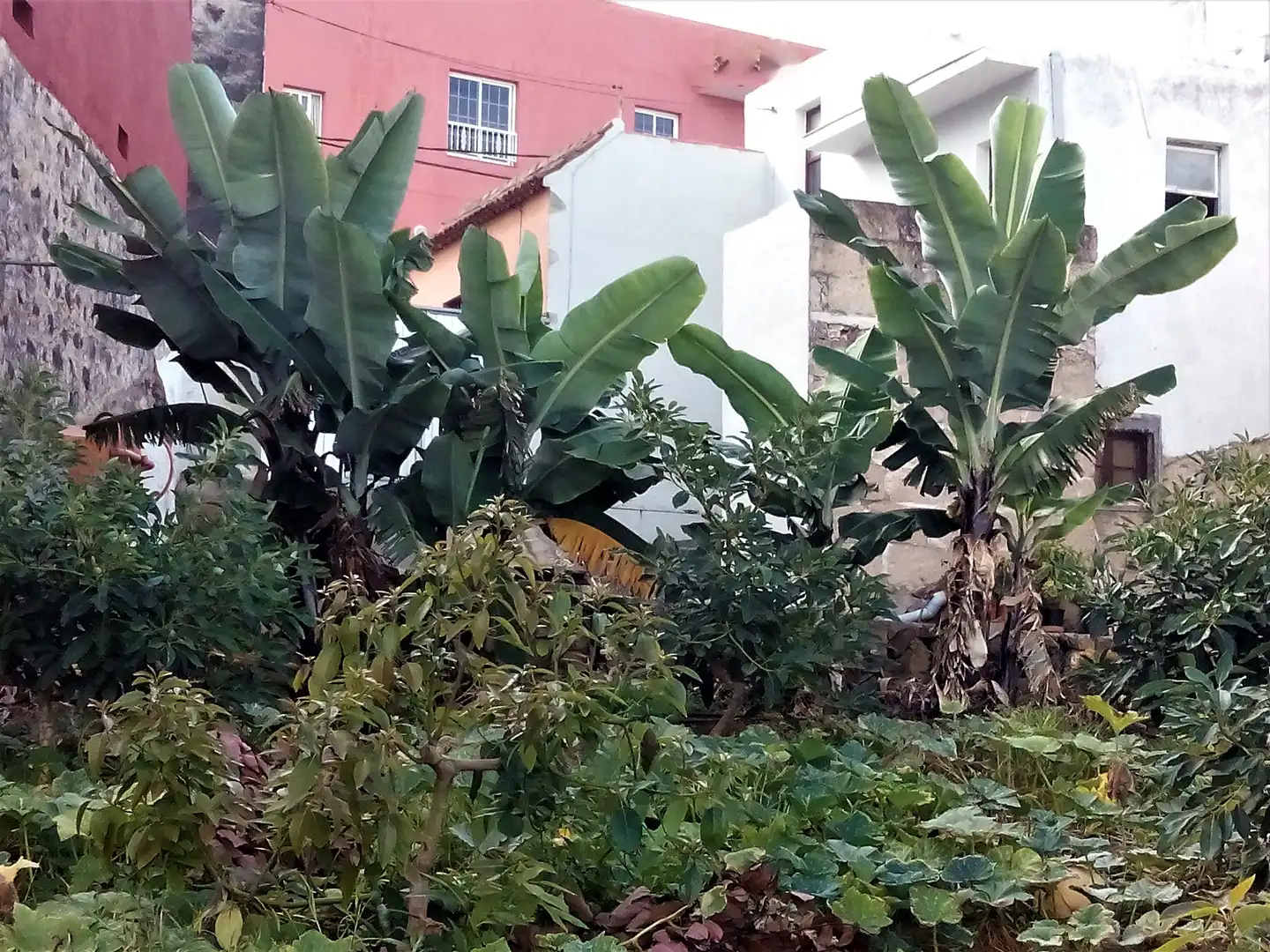 Houses for sale in Los Realejos  with Private garden, Terrace and Storage room