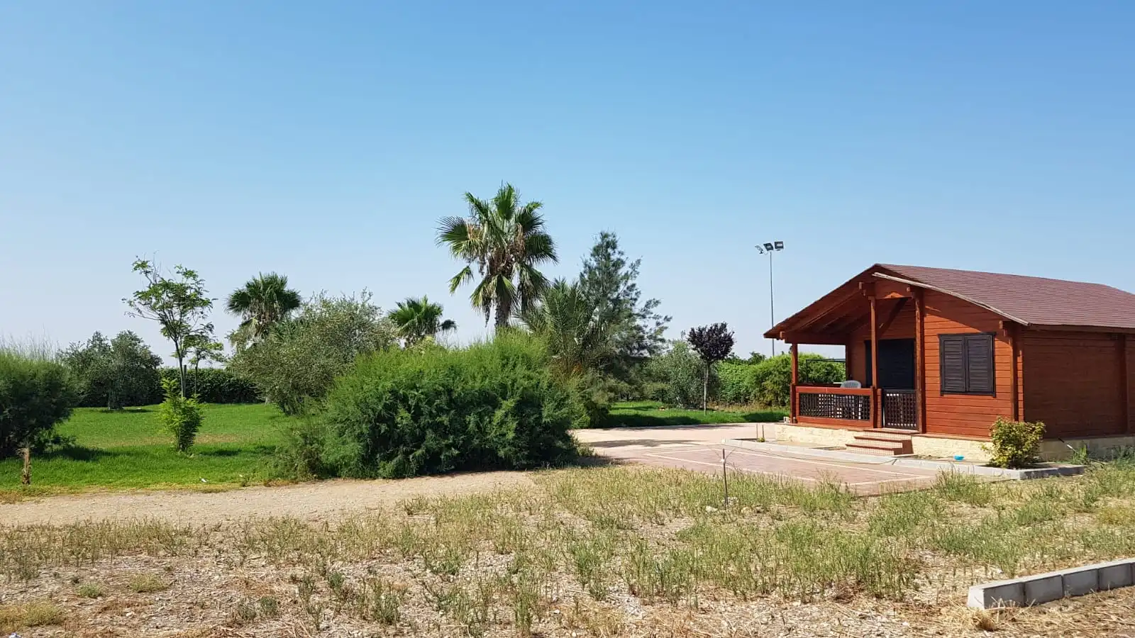 Terreno rustico in vendita a Carretera Ecija, imagen 11