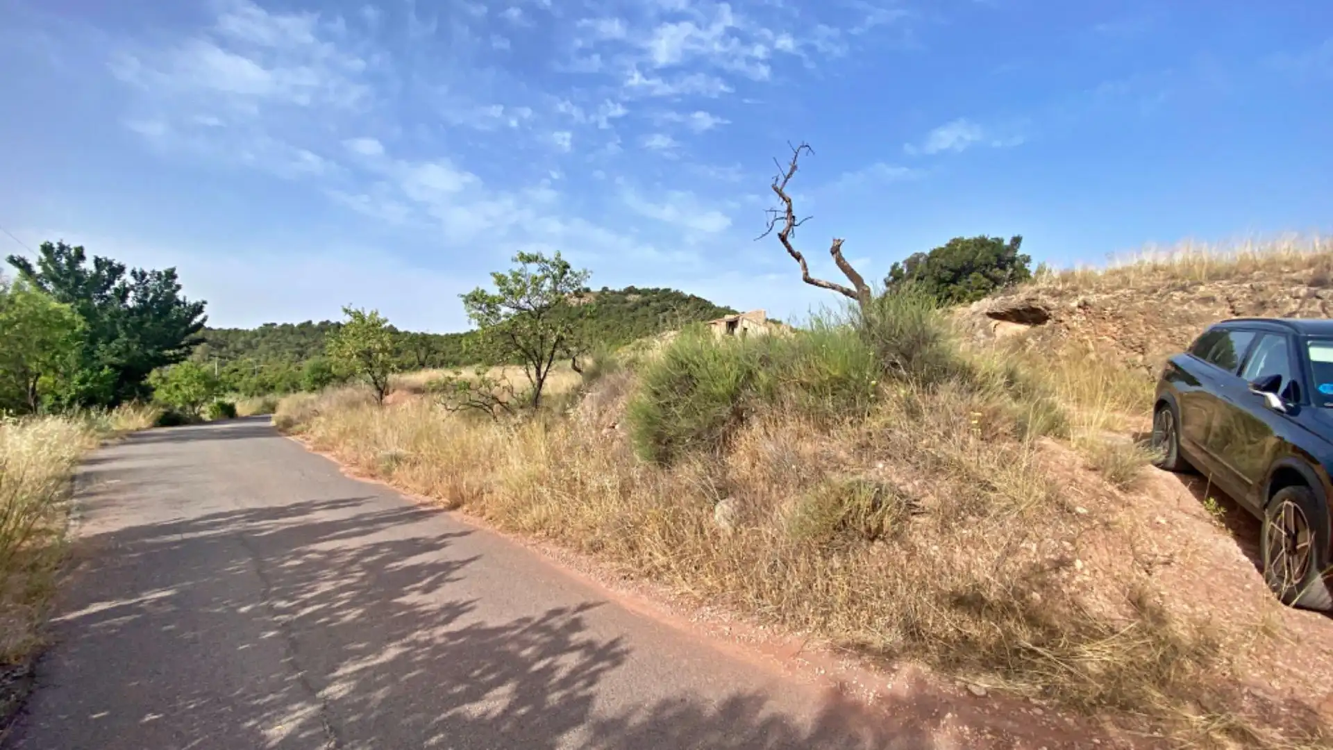 Country homes for sale in Totana