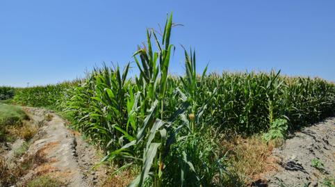 Foto 2 de Finca rústica en venda a Belicena, Granada