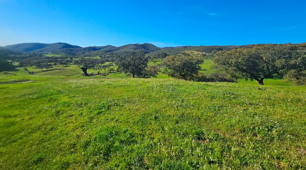 Terrenos y solares en venta en Aracena, imagen 38