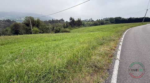 FINCA EDIFICABLE EN TAMON CARREÑO