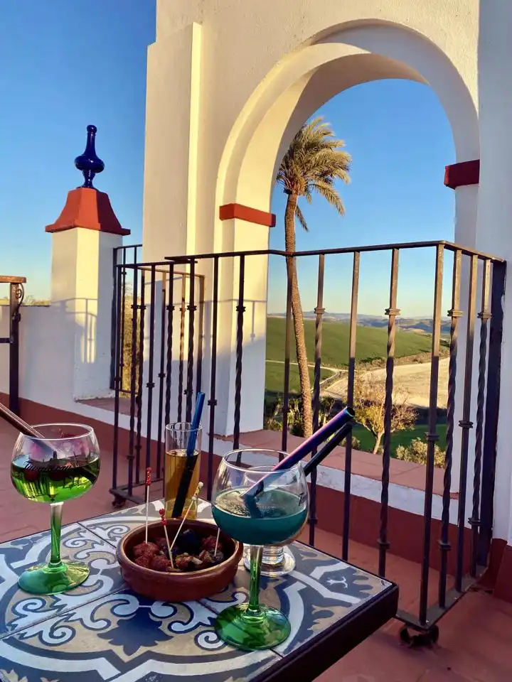 Country house with terrace for sale in Morón de la Frontera, imagen 56