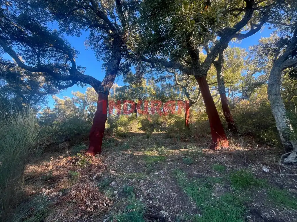 Country house for sale in Plaza De España, imagen 4