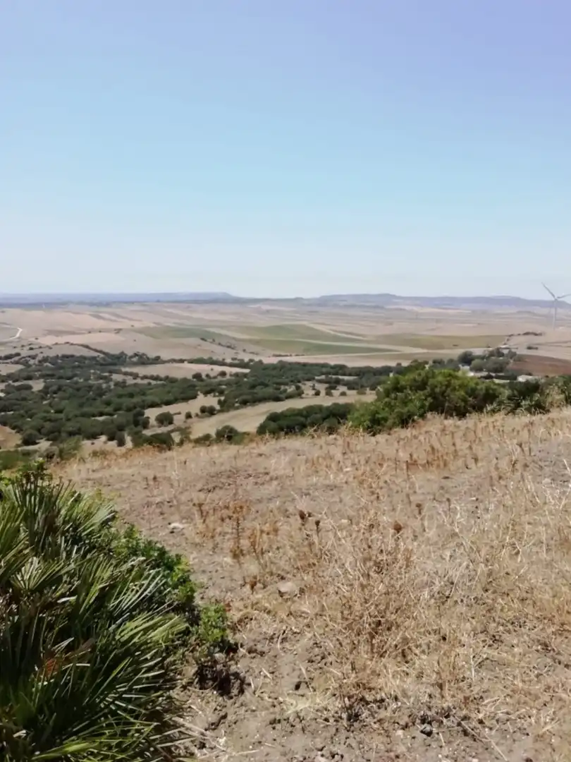 Casa rústica en venda a Medina Sidonia, imagen 6