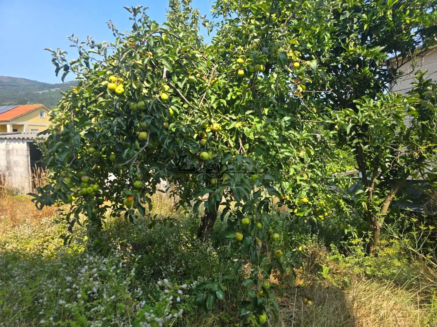 Casa o xalet en venda en Pontevedra Capital  amb Calefacció, Jardí privat i Terrassa
