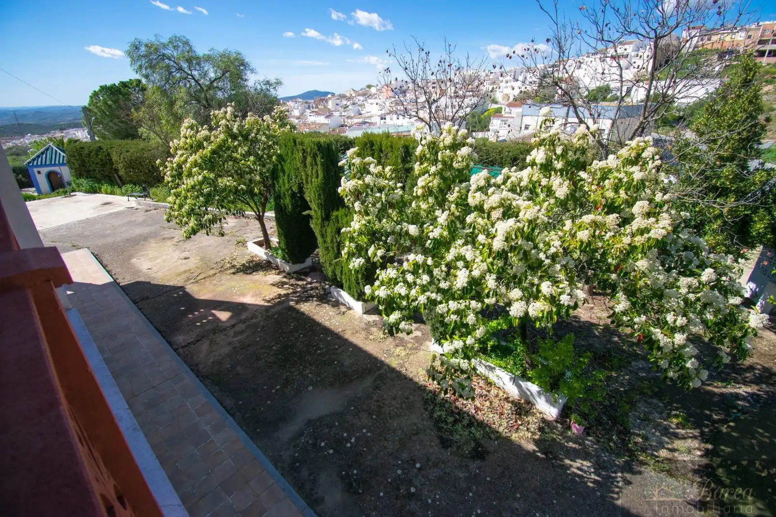 House for sale in Rute, imagen 8