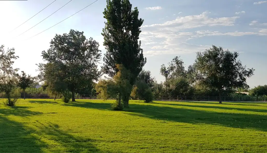 Residential zum Verkauf in Alzira
