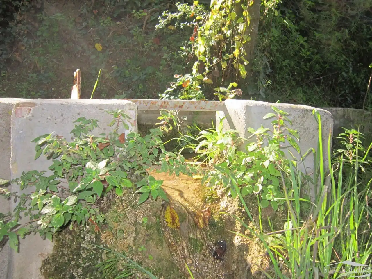 Jardí de Casa o xalet en venda en Carcabuey amb Terrassa, Traster i Piscina