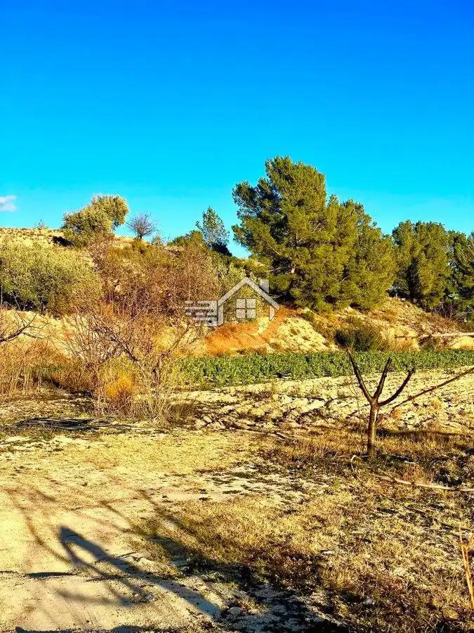 Residential land for sale in Vélez-Rubio, imagen 15