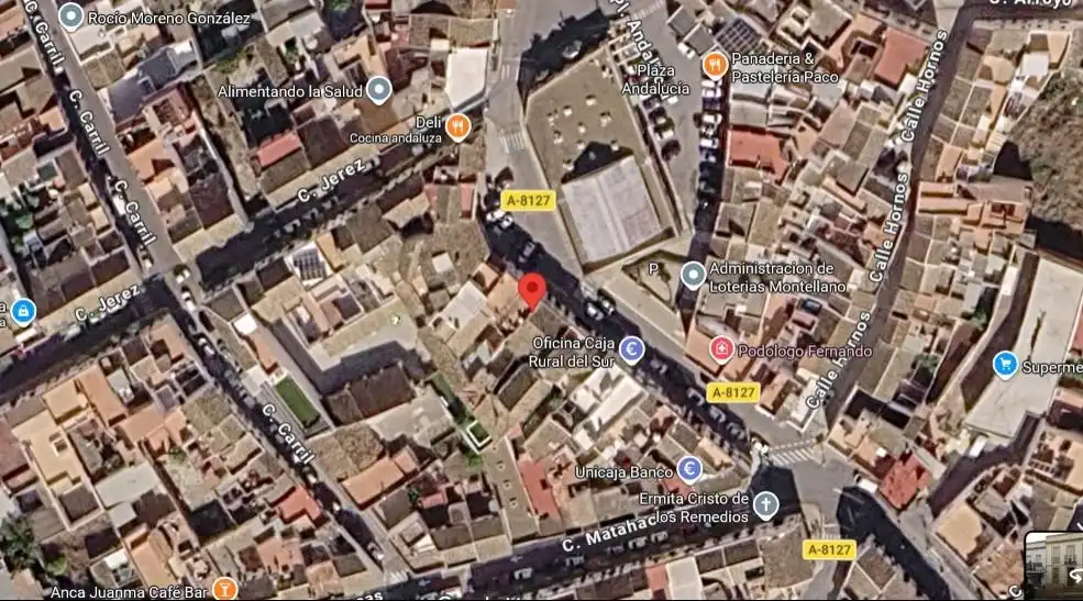 Vista exterior de Casa o xalet en venda en Montellano amb Aire condicionat, Jardí privat i Terrassa