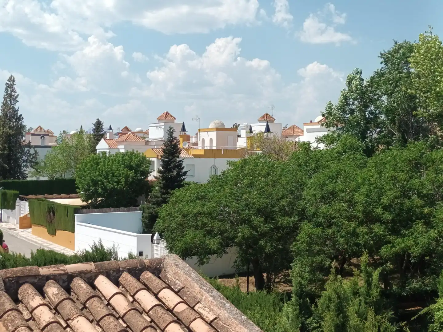 Vista exterior de Casa o chalet de alquiler en Albolote con Calefacción, Jardín privado y Terraza