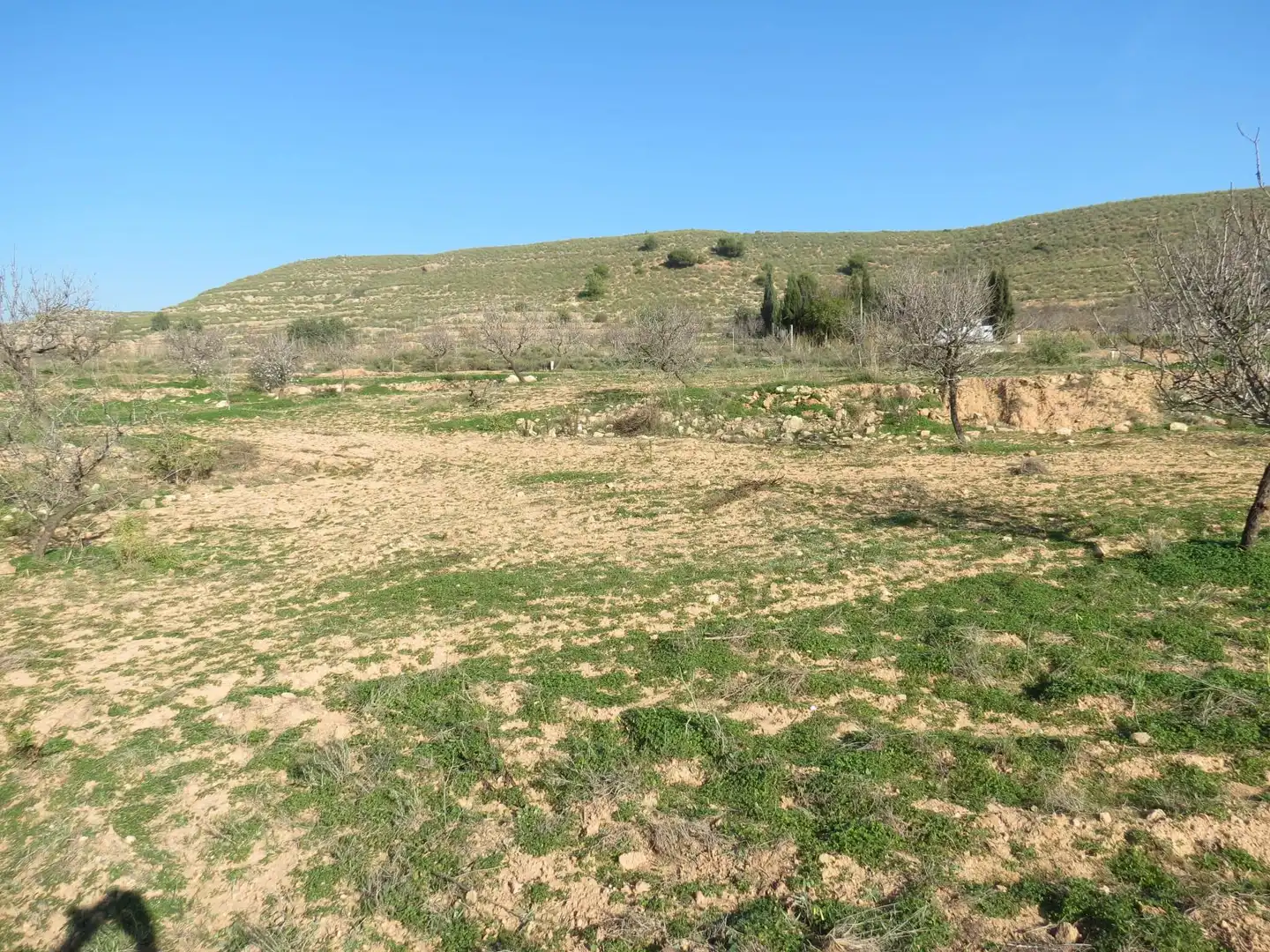 Terreni e lotti in vendita a Pedanías Oeste, imagen 19