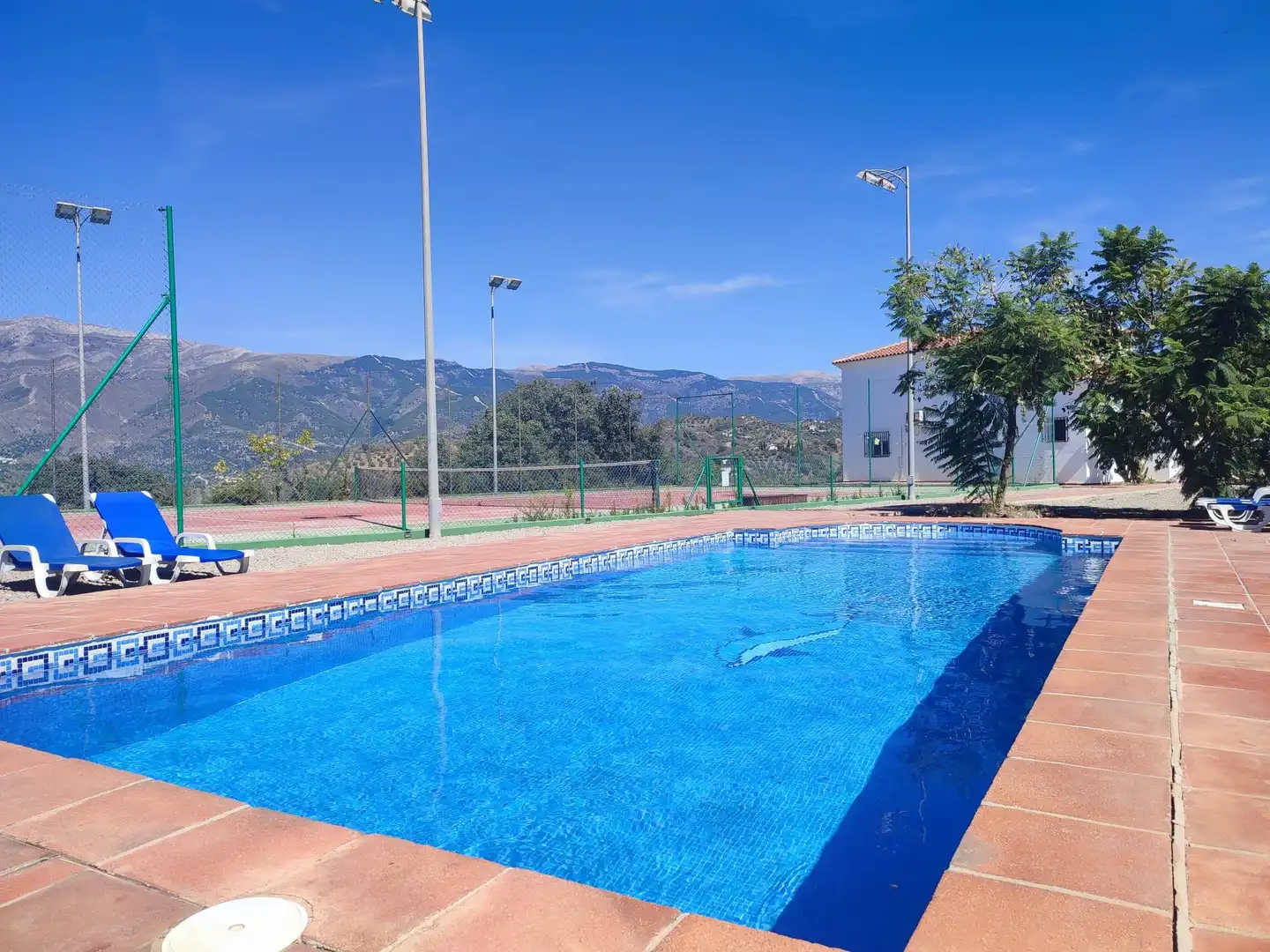 Piscina de Casa o chalet en venta en Arenas
