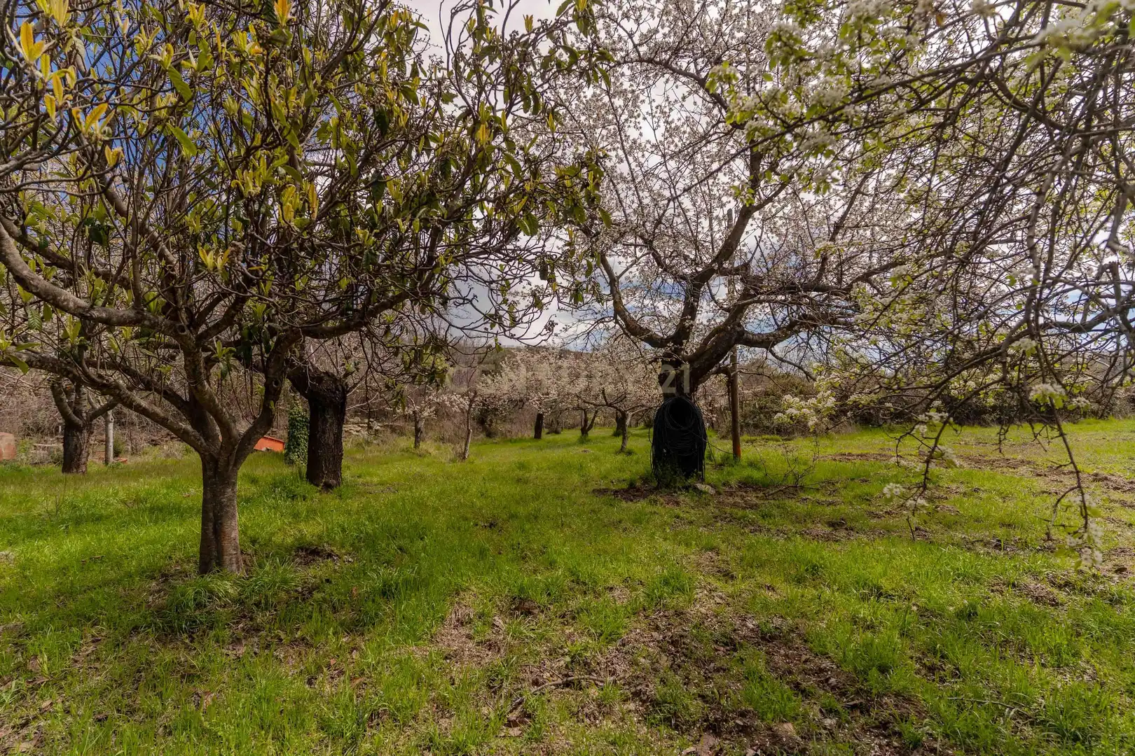 Casa o xalet en venda a Cortijo Ermita, 1, 18415 Pórtugos, Granada, Spain, -1, Pórtugos