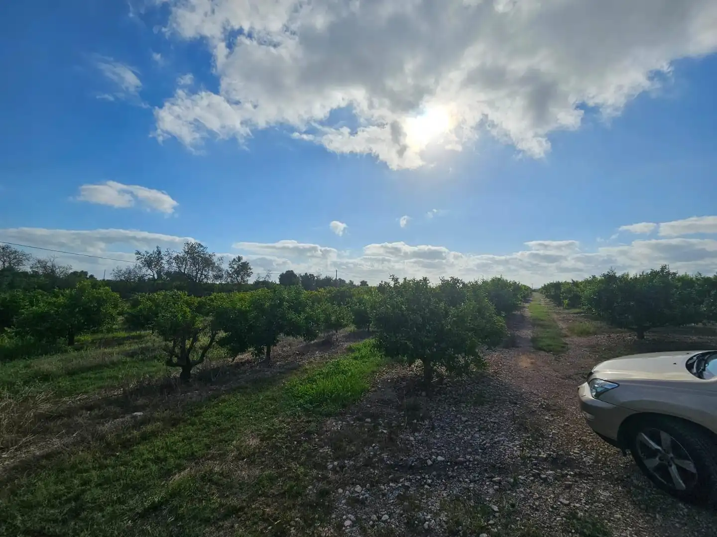 Country house for sale in Alcanar, imagen 8
