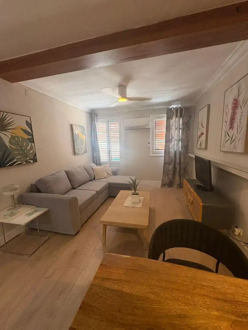 Sala de estar de Apartamento de alquiler en Valencia con Aire acondicionado y Amueblado
