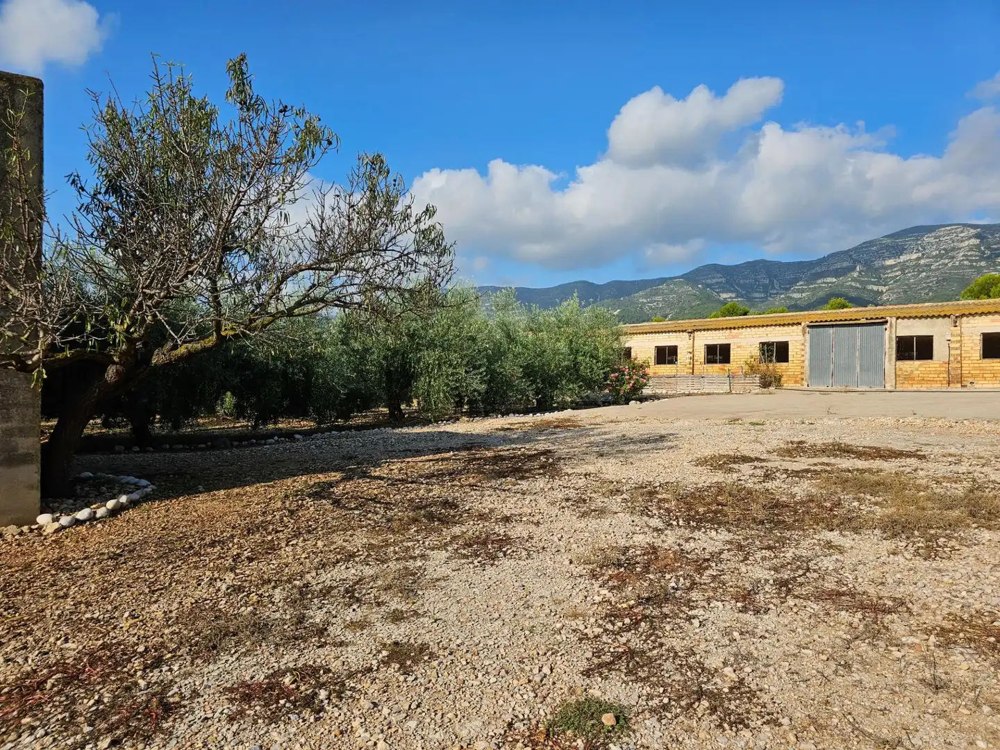 Country house for sale in Alcanar, imagen 22