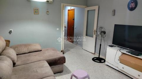 Foto 2 de Pis en venda a Pino Montano - Consolación,  Sevilla Capital