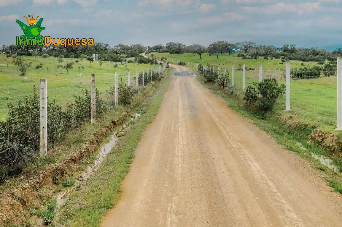 Country house for sale in Paymogo, imagen 14