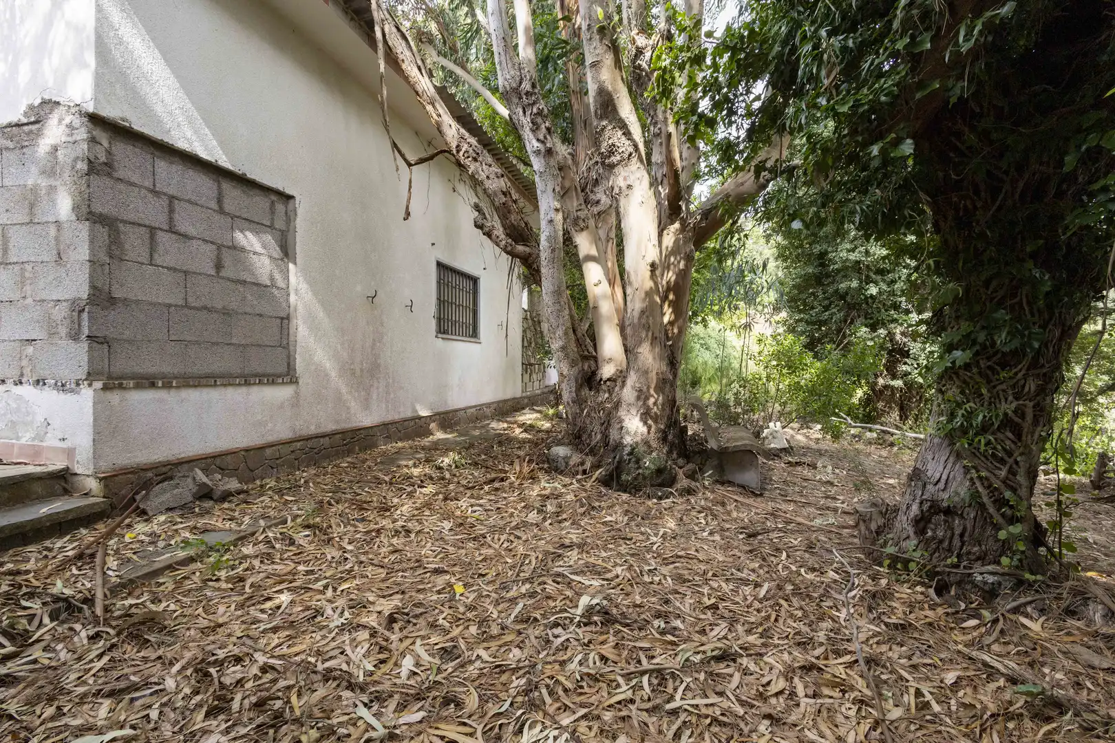 Jardín de Casa o chalet en venta en El Rosario