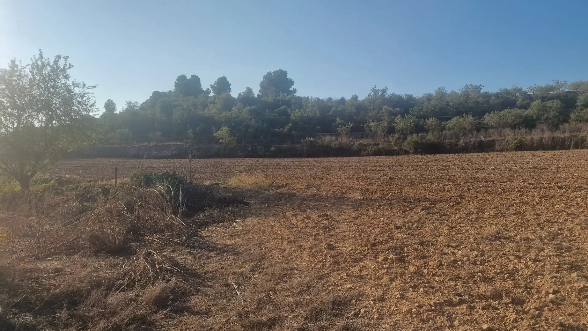 Rural land for sale in Arbeca, imagen 22