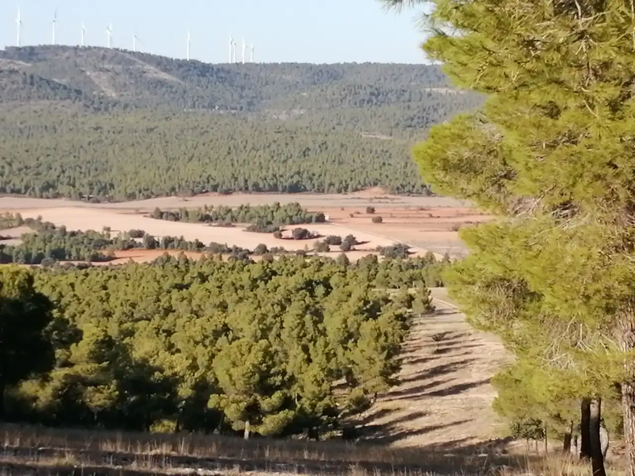 Finca rústica en venta en Jarafuel con Calefacción, Jardín privado y Amueblado