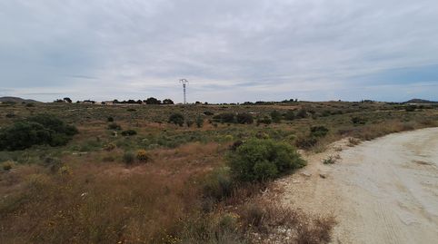 Foto 2 de Terreny en venda a Moralet, Alicante / Alacant