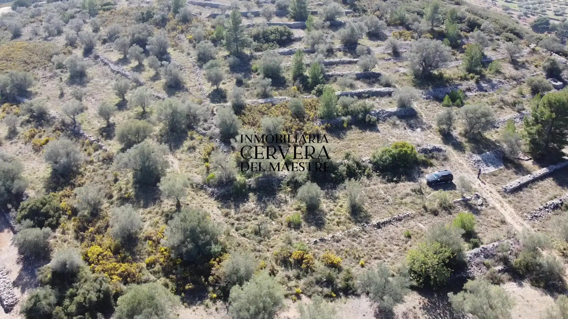 Terreno rustico in vendita a Cervera del Maestre, imagen 9