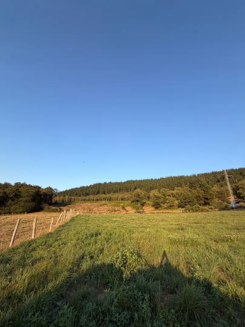 Rural land for sale in Tineo, imagen 23