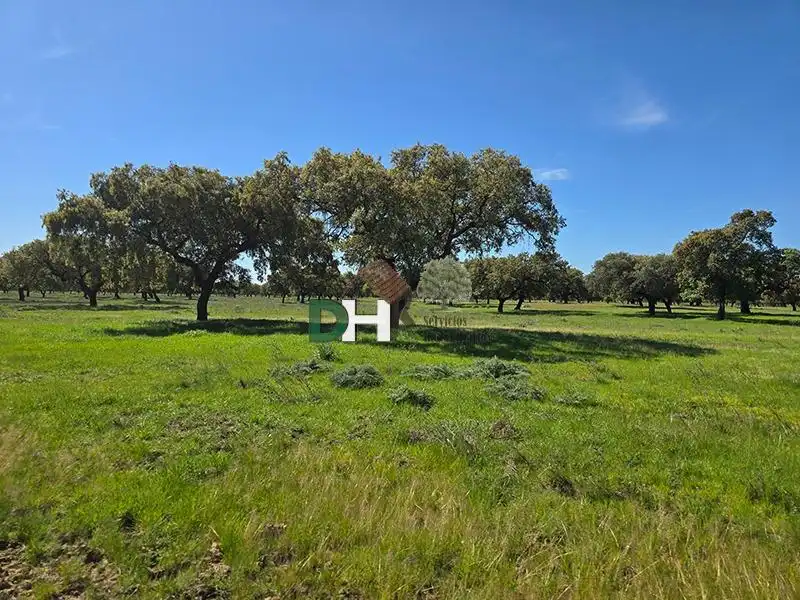 Terreni e lotti in vendita a Carretera de Sevilla - Los Montitos, imagen 6