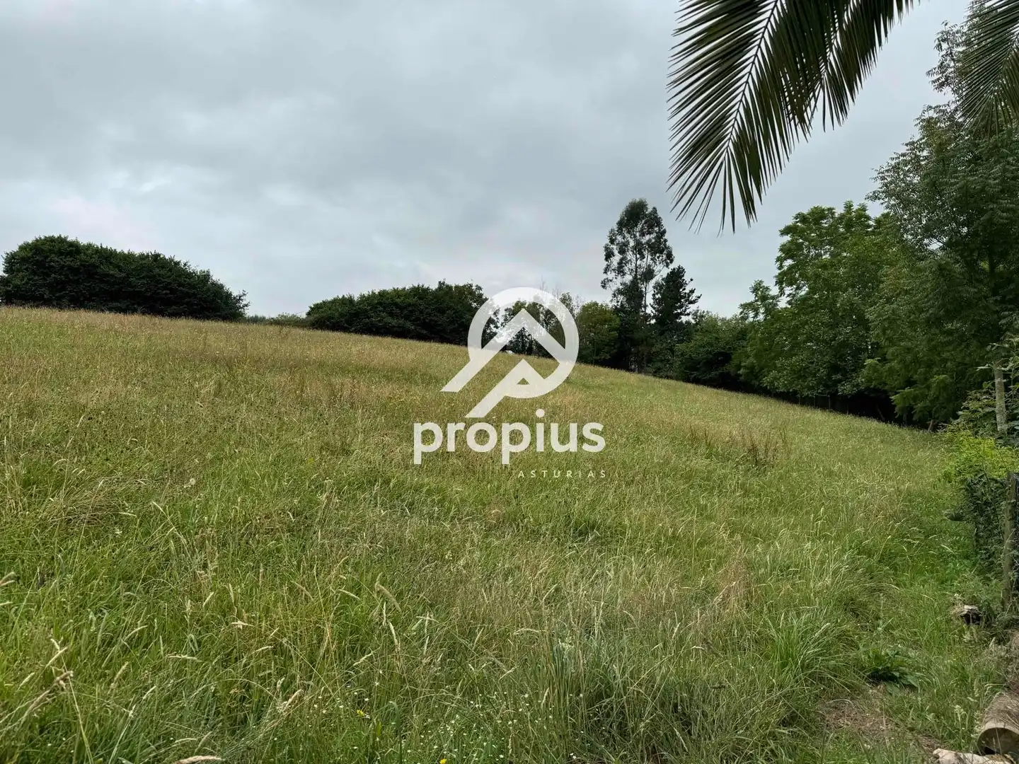 Rural land for sale in Arenas, imagen 26