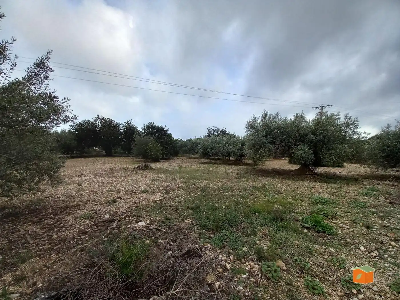 Terreno rustico in vendita a Alcanar, imagen 3