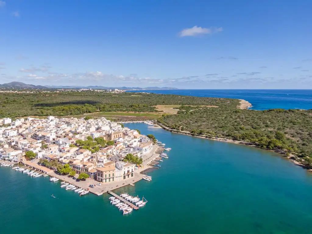 Rural land for sale in Felanitx Poble, imagen 10