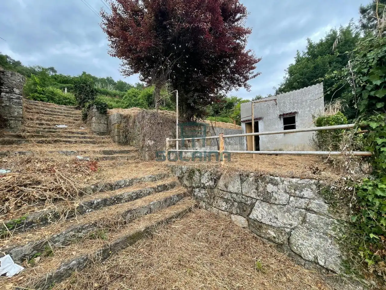 Terreni e lotti in vendita a Punxín, imagen 5