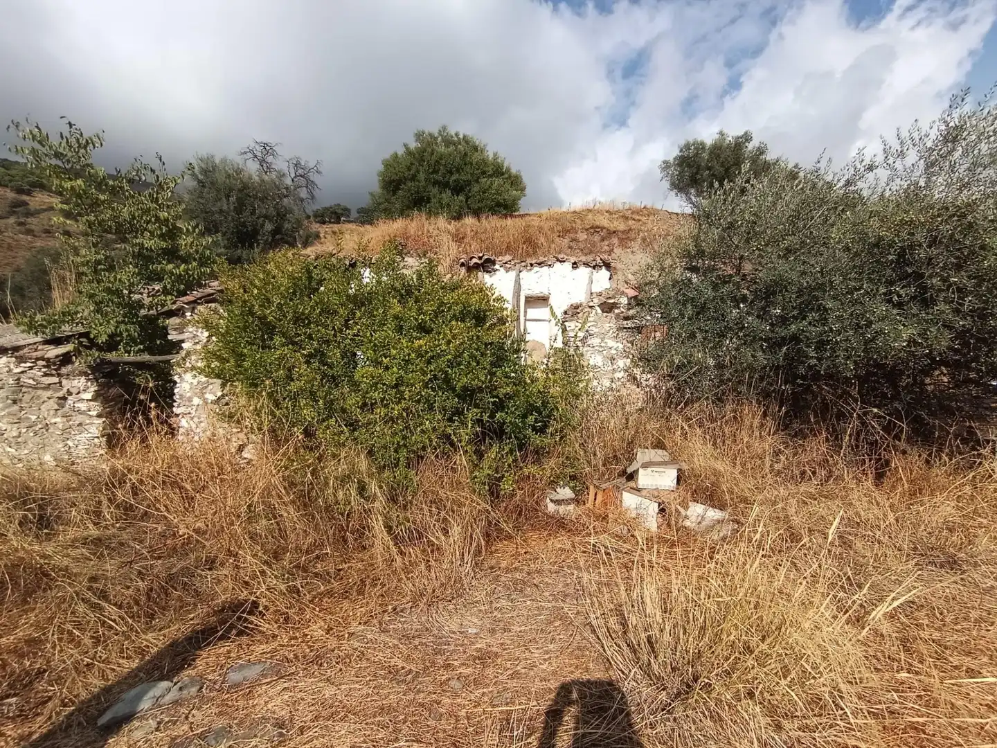 Terreni e lotti in vendita a Sedella, imagen 19
