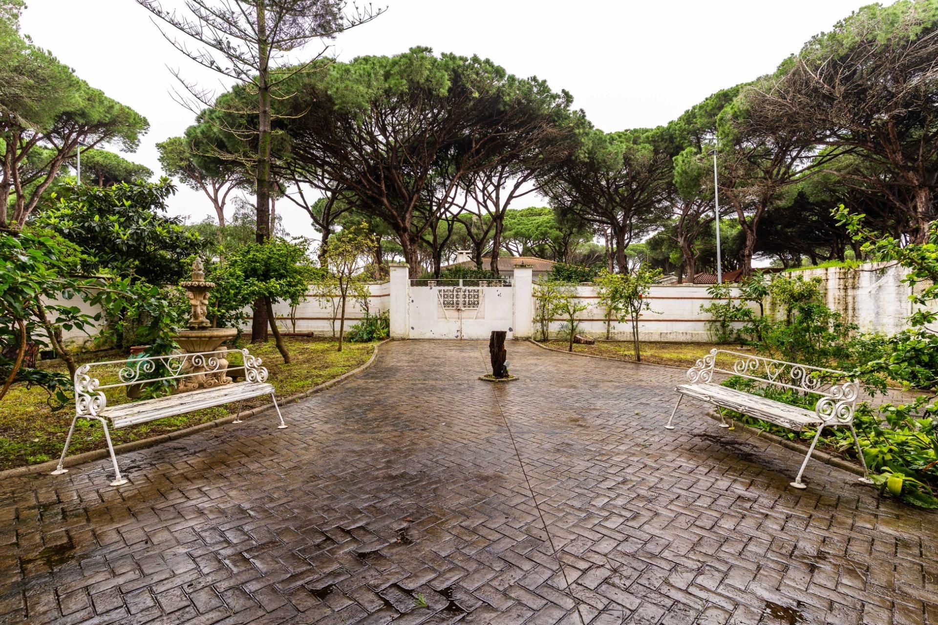 Jardí de Casa o xalet en venda en Chiclana de la Frontera