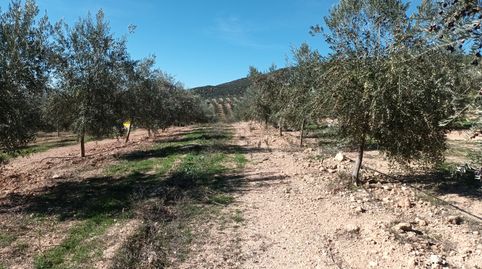 Photo 3 of Land for sale in Centro ciudad, Linares