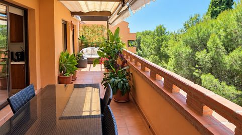 Foto 2 de Apartamento en venta en Arrabal la Caridad, La Carolina - Guadalpín, Marbella