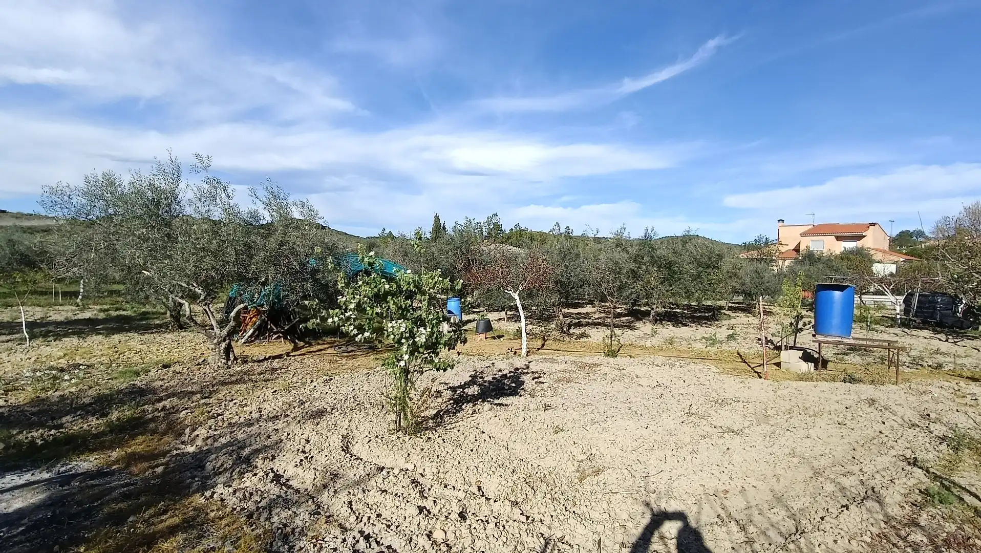 Land for sale in Las Herencias