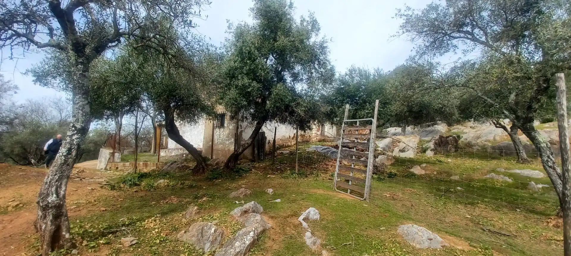 Terreni e lotti in vendita a Constantina, imagen 33