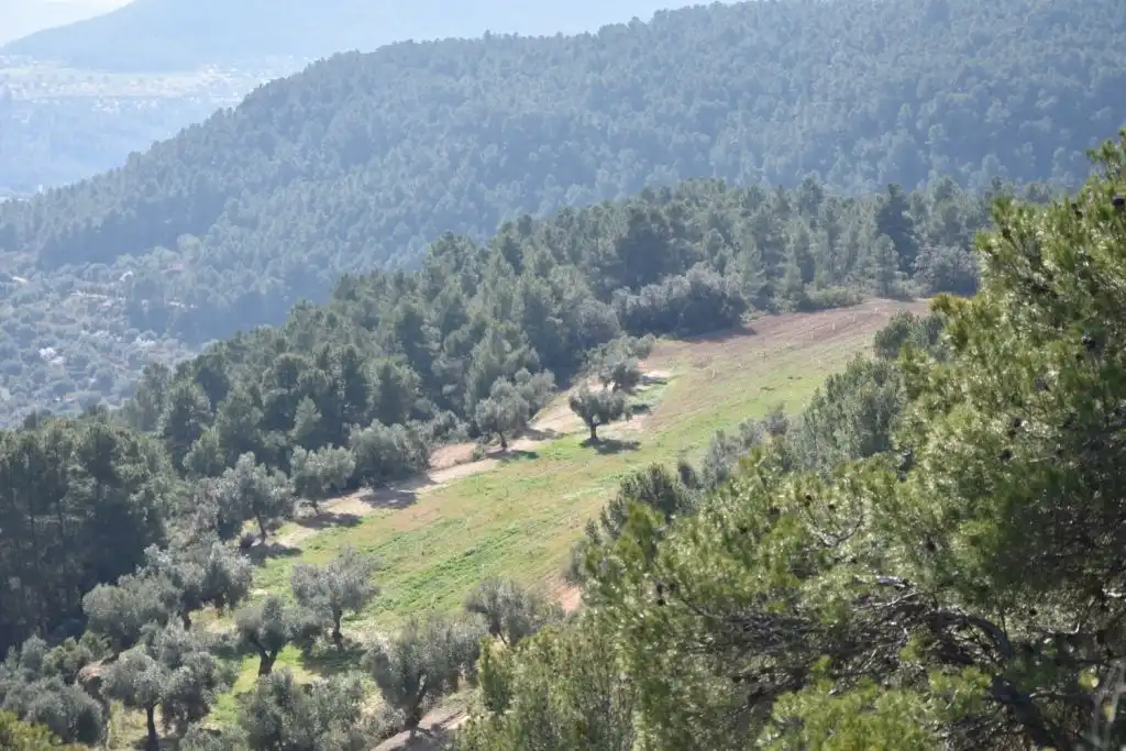 Country homes for sale in La Fresneda