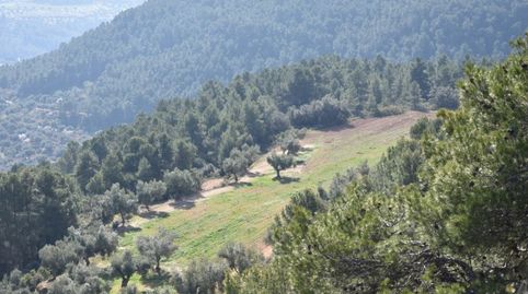 Foto 3 de Finca rústica en venta en La Fresneda, Teruel