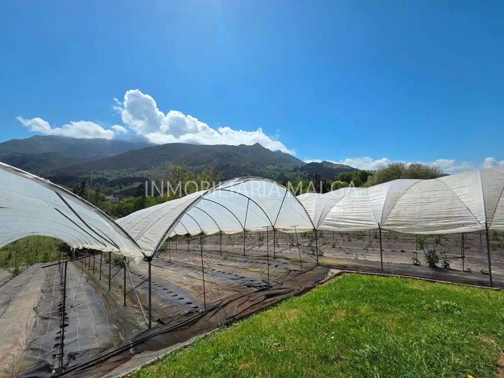Vista exterior de Casa o xalet en venda en Colunga amb Calefacció, Jardí privat i Parquet