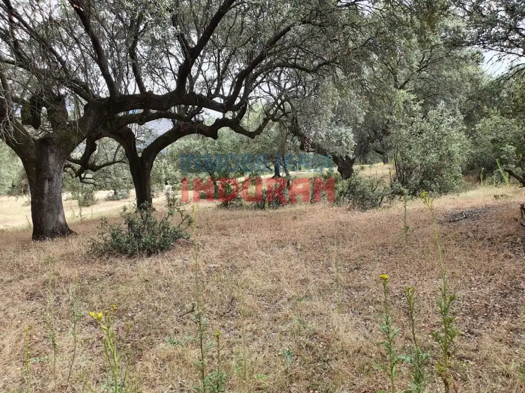 Casa en venda a Casas del Castañar, imagen 4